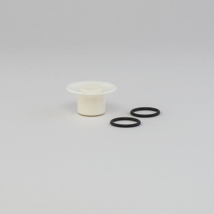 25 MM (1") AIR VALVE REPAIR KIT